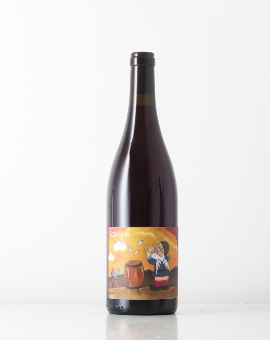 Made from equal parts Poulsard, Trousseau and Gamay by the natural wine artist Alice Bouvot in Jura. Nothing added.