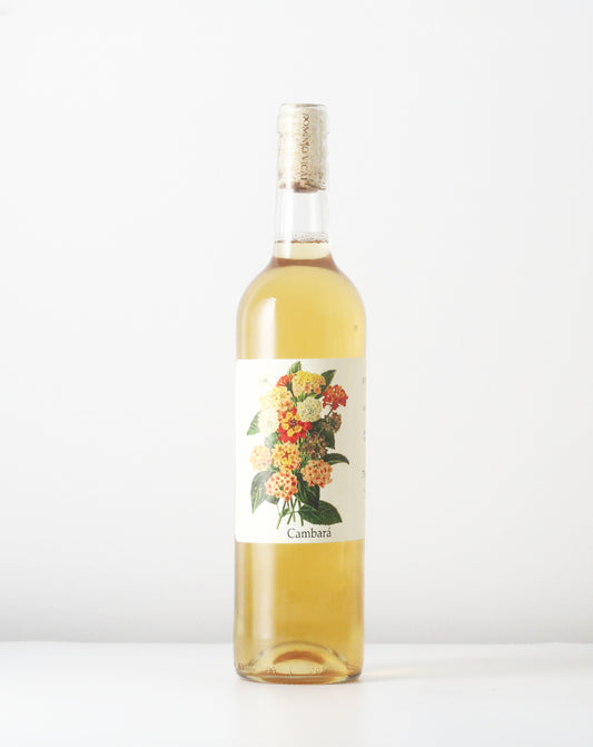 Another delicious Moscatel from Dominio Vicari in Lisbon, Portugal. Their natural wines are alway without any additions.