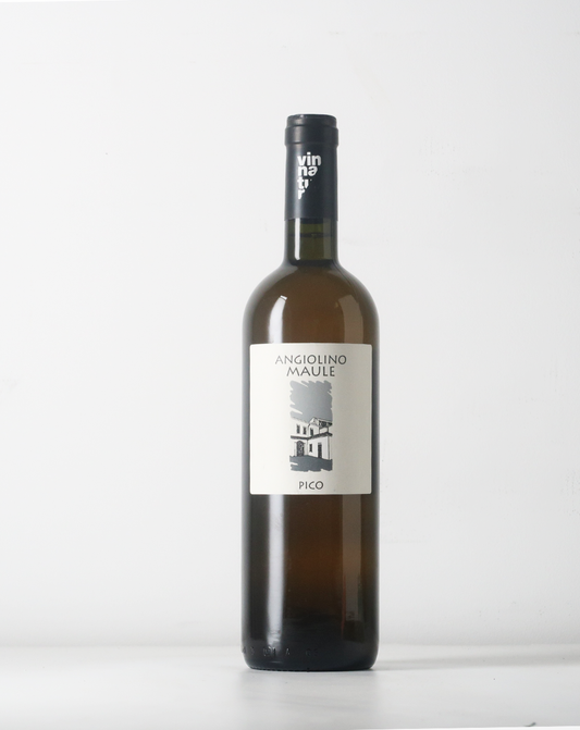 Angiolino Maule Pico 2019